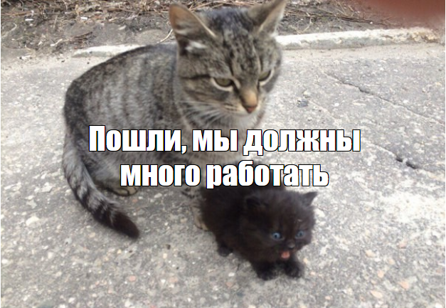 next