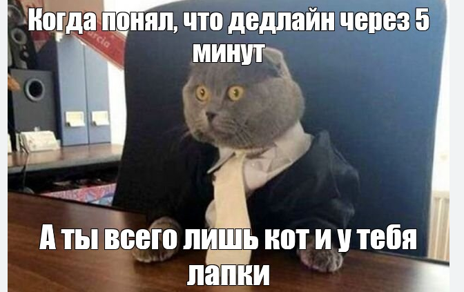 prev